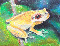 frogo